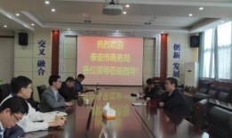 泰安商务局最新爆料,揭秘产业升级与投资新动向